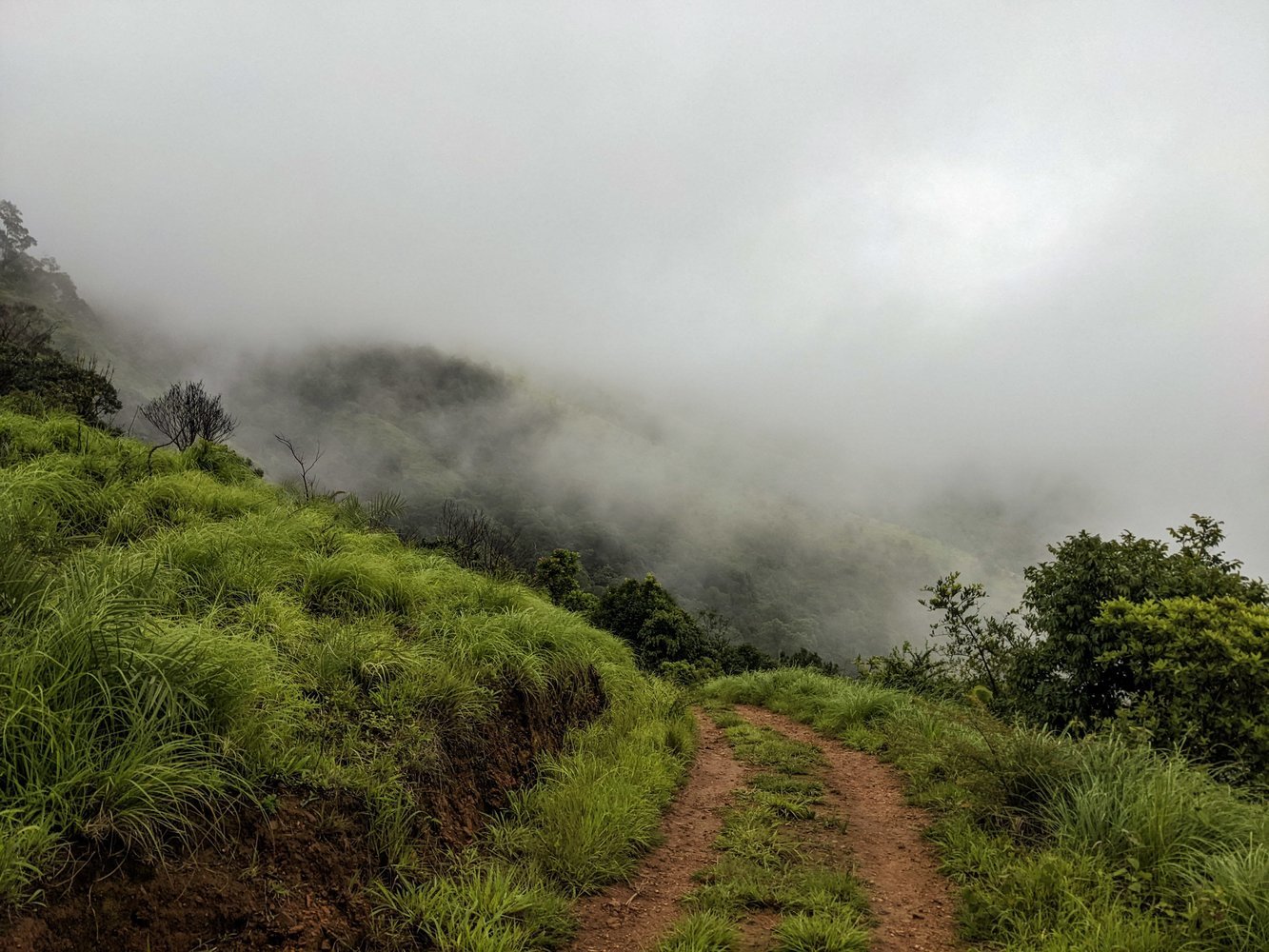 Brahmagiri Peak Trek, Kerala | Bangalore Mountaineering Club